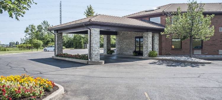 舒适酒店(Comfort Inn)图片