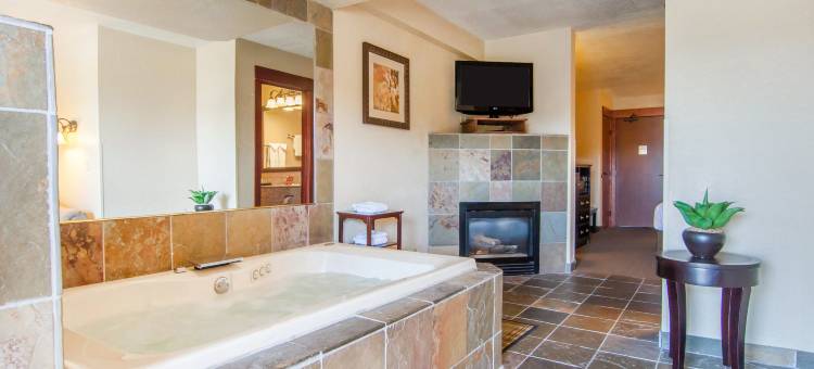 舒适套房酒店(Comfort Inn & Suites)图片