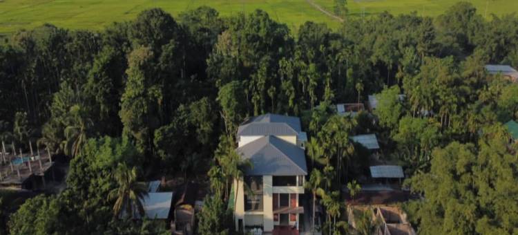 伊罗伊卡齐兰加(Irroi Kaziranga)图片