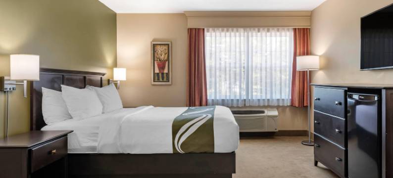 品质酒店及套房(Quality Inn & Suites)图片