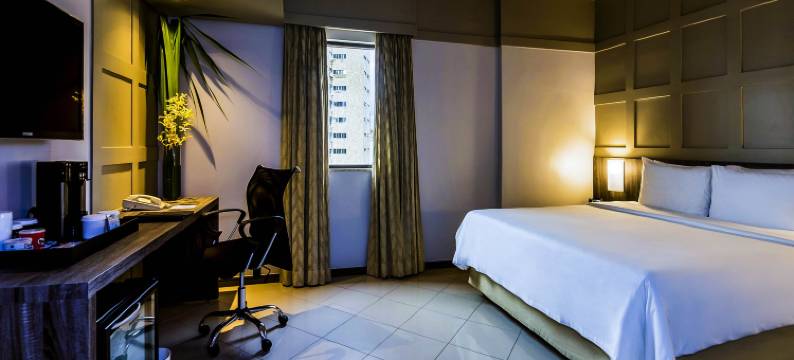 贝伦美爵大酒店(Grand Mercure Belém do Pará)图片