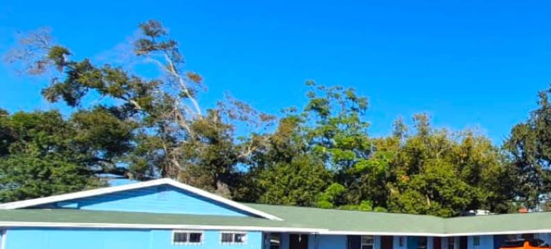 OYO坦帕US-41安提瓜汽车旅馆(Antigua Motel by OYO Tampa US - 41)图片