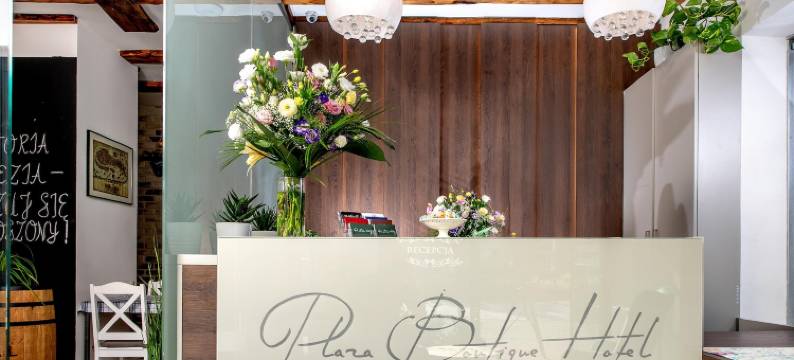 广场精品酒店(Plaza Boutique Hotel)图片