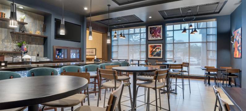 巴吞鲁日德鲁里套房酒店(Drury Inn & Suites Baton Rouge)图片