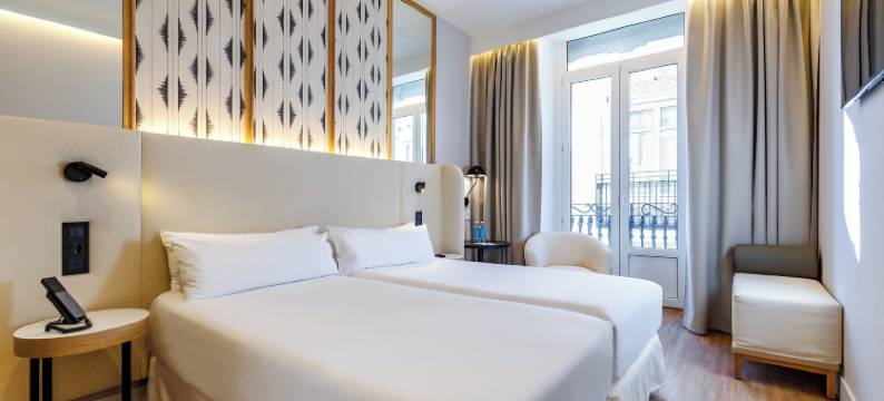 佩蒂特宫雷纳广场酒店(Petit Palace Plaza de la Reina)图片