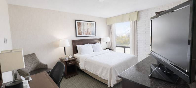 莲花体育场酒店(Hotel Lotus Kansas City Stadium)图片