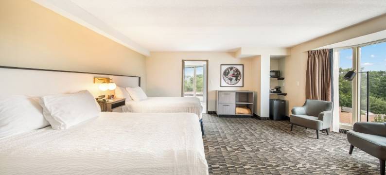 尼亚加拉瀑布华美达广场酒店(Ramada Plaza by Wyndham Niagara Falls)图片