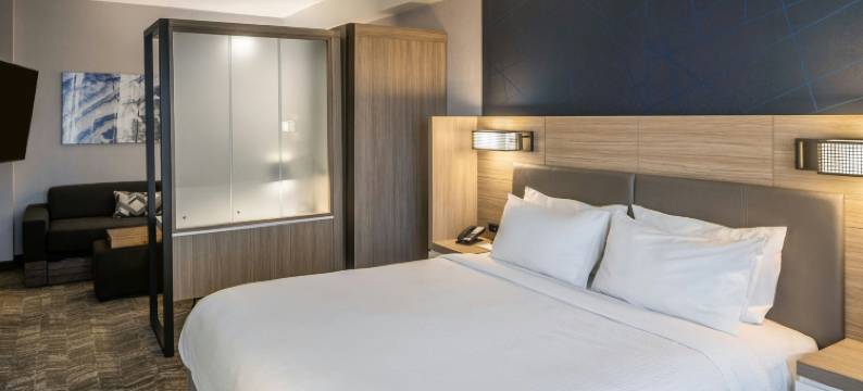 坎菲尔德春季山丘套房酒店(SpringHill Suites Canfield)图片