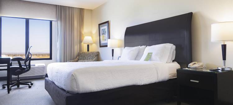 希尔顿花园酒店-利韦里亚机场(Hilton Garden Inn Guanacaste Airport)图片