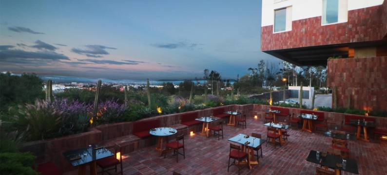 圣米格尔德阿连德阿尔博尔酒店，希尔顿启缤精选(Albor San Miguel de Allende, Tapestry Collection by Hilton)图片