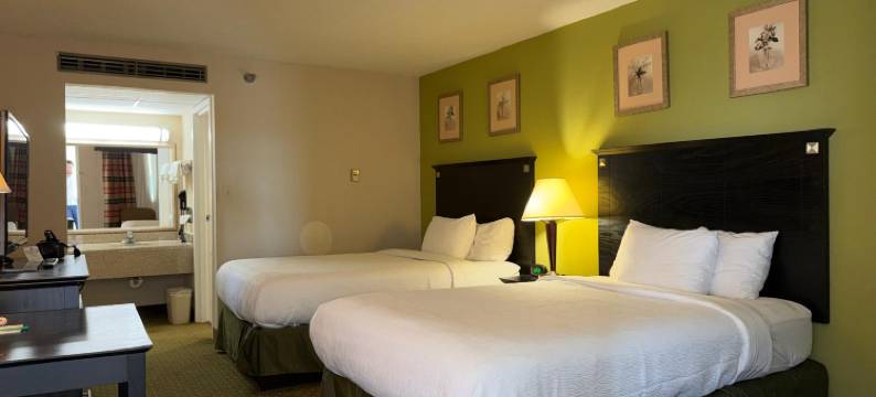 莫林-阔德城凯艺套房酒店(Quality Inn & Suites Moline - Quad Cities)图片