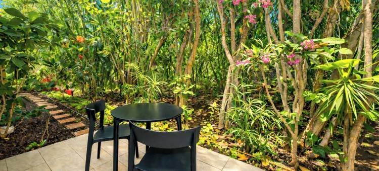 New Kbm Resorts Ocean Views Free Car Wailea Ekahi 1-Bedroom Condo with Luxury Amenities Wkv-45C图片