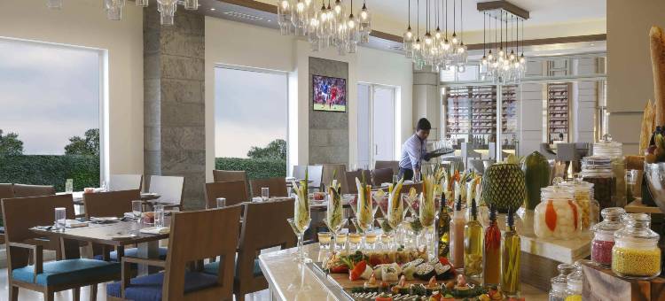 钦奈斯里佩鲁姆布杜尔美居酒店(Mercure Chennai Sriperumbudur)图片