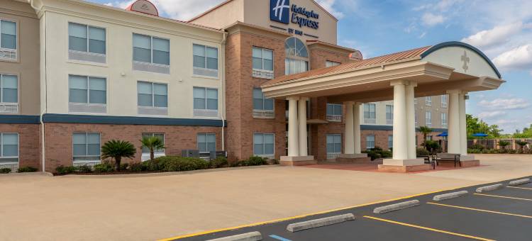 智选假日套房酒店亚历山德里亚(Holiday Inn Express & Suites Alexandria)图片