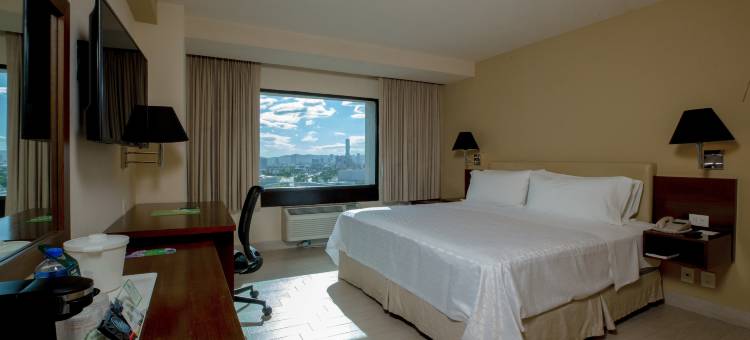 Holiday Inn 普埃布拉拉诺里亚(Holiday Inn PUEBLA LA NORIA by IHG)图片