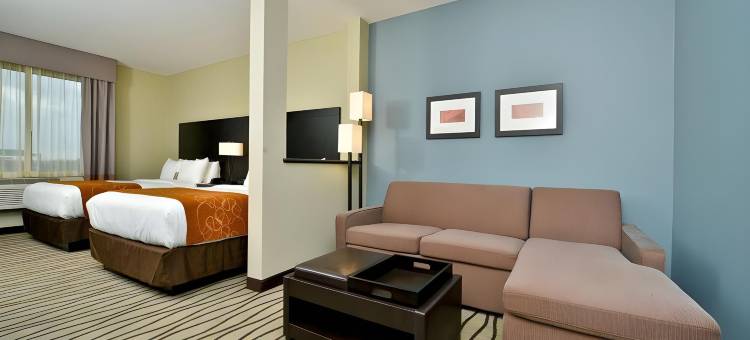 舒适套房酒店-近韦斯特彻斯8号环城路(Comfort Suites near Westchase on Beltway 8)图片