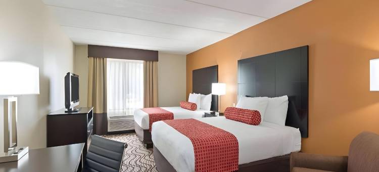 坦帕北I-75舒适套房酒店(Comfort Inn & Suites Tampa North I-75)图片