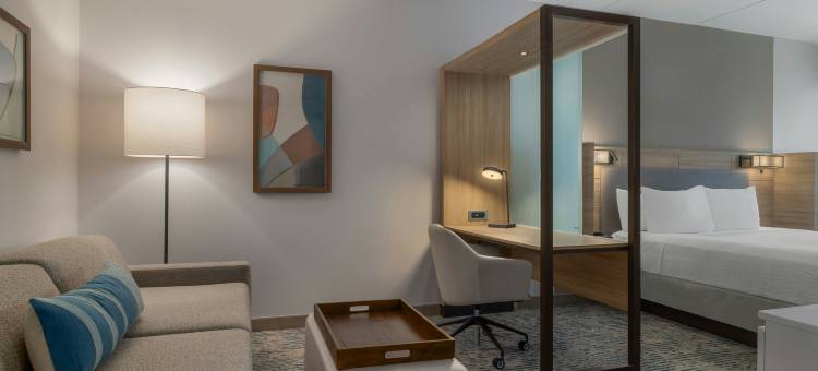 阿伦敦伯利恒森特瓦利SpringHill Suites酒店(SpringHill Suites Allentown Bethlehem/Center Valley)图片