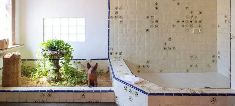 精选 O 卡波圣卢卡斯贝拉之家精品酒店(Collection O Casa Bella Hotel Boutique, Cabo San Lucas)图片