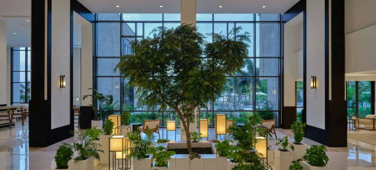 圣瑞吉阿鲁巴度假村(The St. Regis Aruba Resort)图片