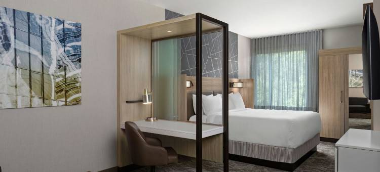 拉马祖港口春希尔套房酒店(SpringHill Suites Kalamazoo Portage)图片