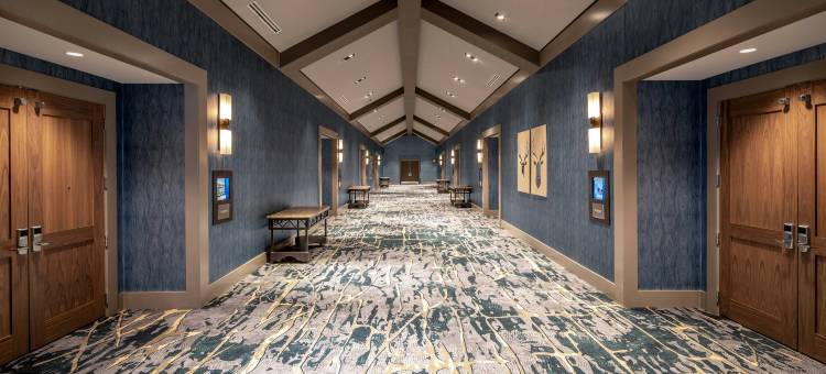 盖洛德洛基斯度假酒店及会议中心(Gaylord Rockies Resort & Convention Center)图片