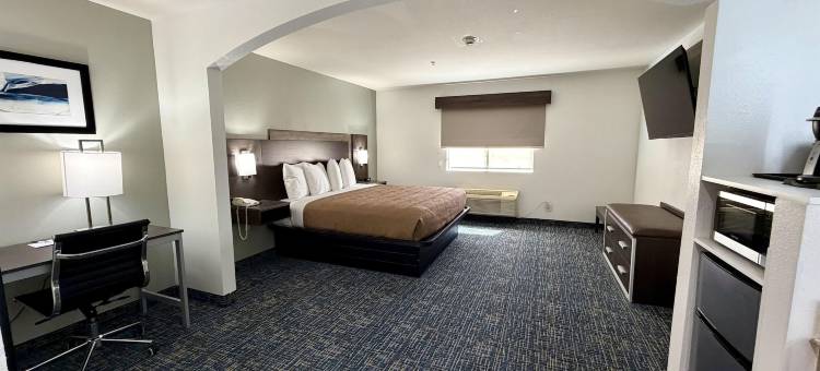 拉伯克贝斯特韦斯特旅馆(Best Western Lubbock Inn)图片