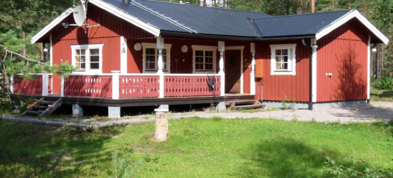 Kringelfjorden Siken (Dan055)图片