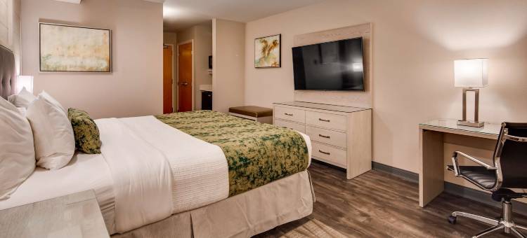 阿瓦纳机场贝斯特韦斯特精品酒店(Best Western Premier I-95 Savannah Airport/ Pooler West)图片