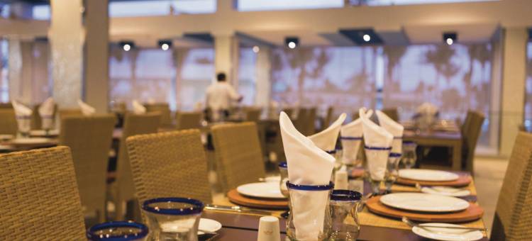 普拉亚卡尔悦宜湾酒店-全包(Riu Playacar - All Inclusive)图片