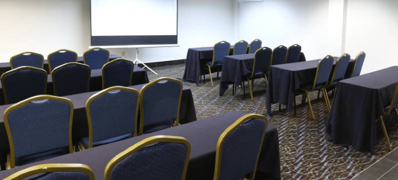 布莱斯伍德智选假日酒店&套房(Holiday Inn Express & Suites BLYTHEWOOD by IHG)图片