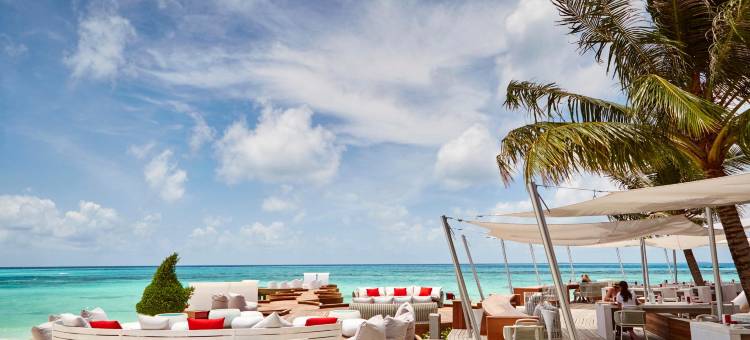 马尔代夫丽世南阿里环礁度假村(LUX* South Ari Atoll)图片