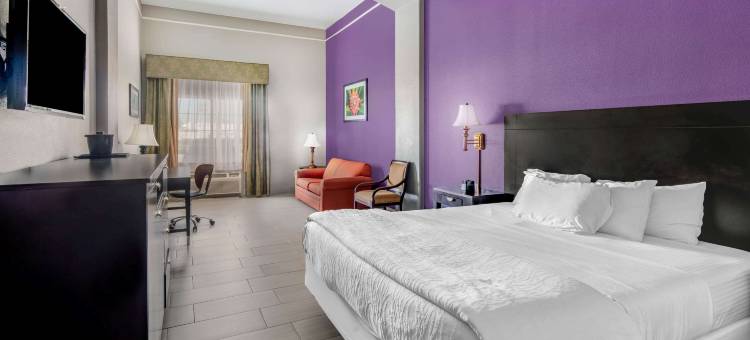 麦卡伦东阿拉莫拉昆塔温德姆套房酒店(La Quinta Inn & Suites by Wyndham Alamo - McAllen East)图片