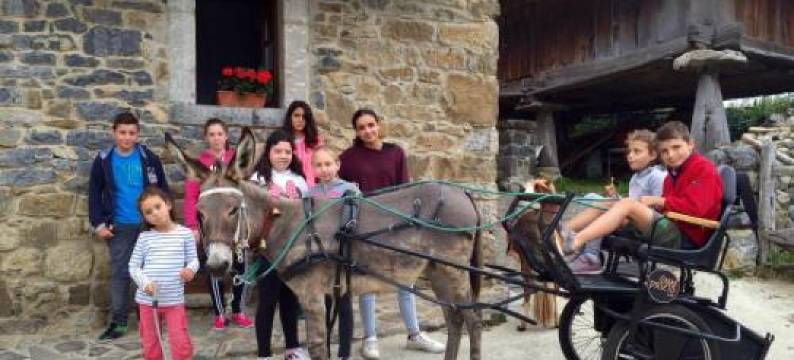 卡萨斯卢勒斯普列托酒店(Casas Rurales Prieto)图片