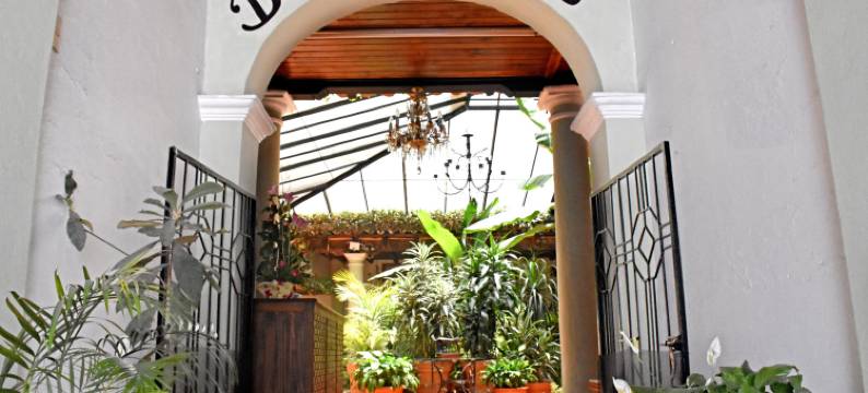 圣路易斯酒店(Hotel San Luis)图片