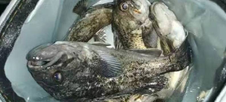 长岛旅游小石公寓(文化街分店)图片