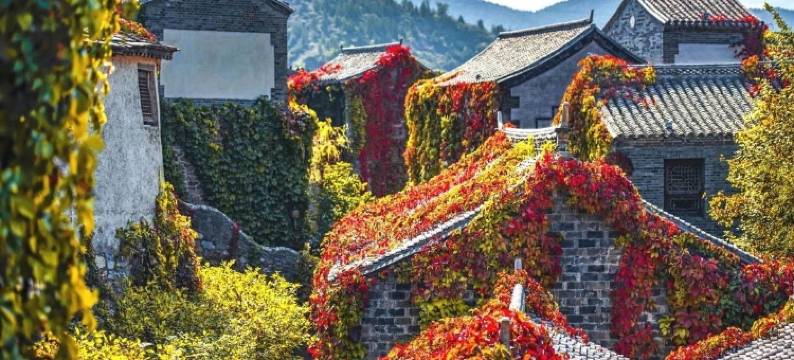 司马台下胖虎小院(司水路2号分店)图片