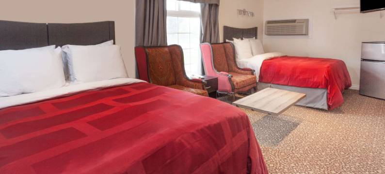 金斯顿骑士酒店(Knights Inn Kingston)图片