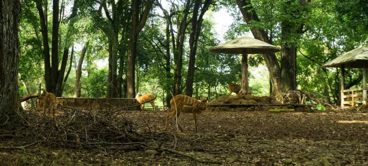 城市景观酒店清真拉古南公寓芝兰达(Urbanview Hotel Syariah the Ragunan Residence)图片