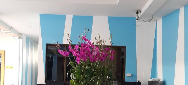 芒通酒店芭东(MT Hotel Patong)图片