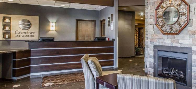 舒适套房酒店 - 近路易斯维尔湖(Comfort Inn & Suites Near Lake Guntersville)图片