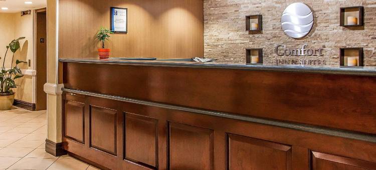 萨默塞特新不伦瑞克舒适套房酒店(Comfort Inn & Suites Somerset - New Brunswick)图片