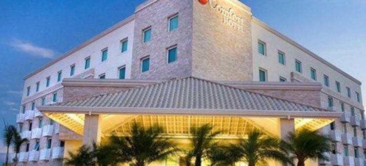 阿拉拉夸拉舒适酒店(Comfort Hotel Araraquara)图片