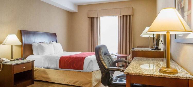 舒适酒店及套房- 艾尔德里(Comfort Inn & Suites)图片