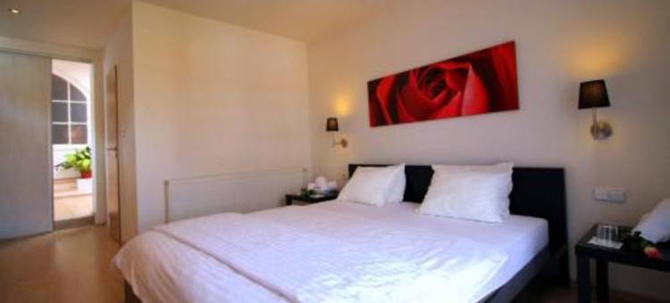 大卫膳食公寓酒店(Penzion David)图片