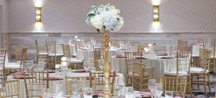 圣路易斯西南假日酒店 - 66号公路(Holiday Inn St Louis SW - Route 66)图片