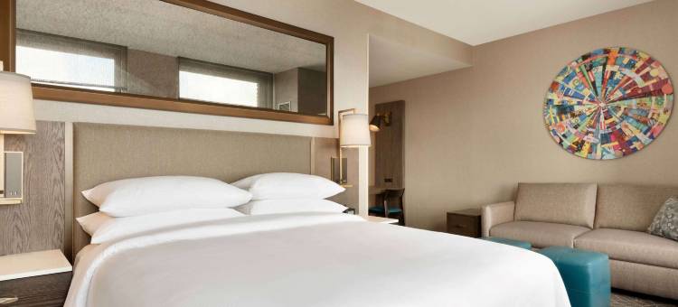明尼亚波里城市希尔顿安泊酒店(Embassy Suites by Hilton Minneapolis Downtown)图片