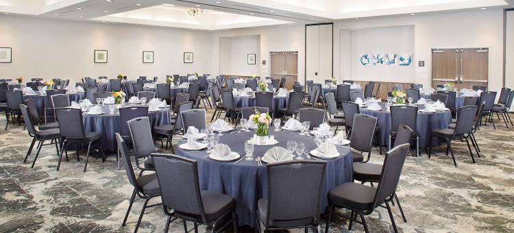 希尔顿花园旅馆-达拉斯南阿林顿(Hilton Garden Inn Dallas/Arlington South)图片
