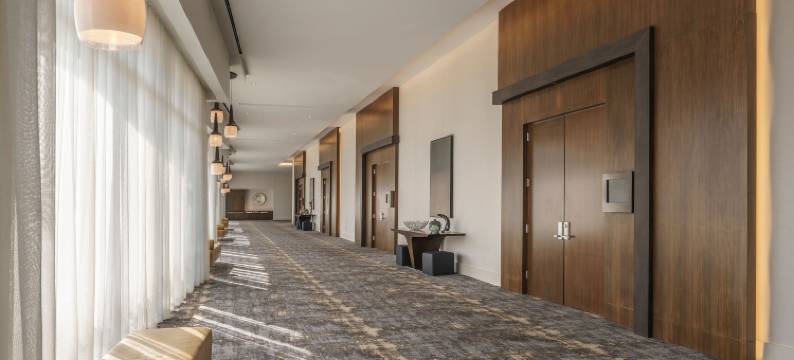 休斯顿凯悦酒店-画廊区(Hyatt Regency Houston/Galleria)图片