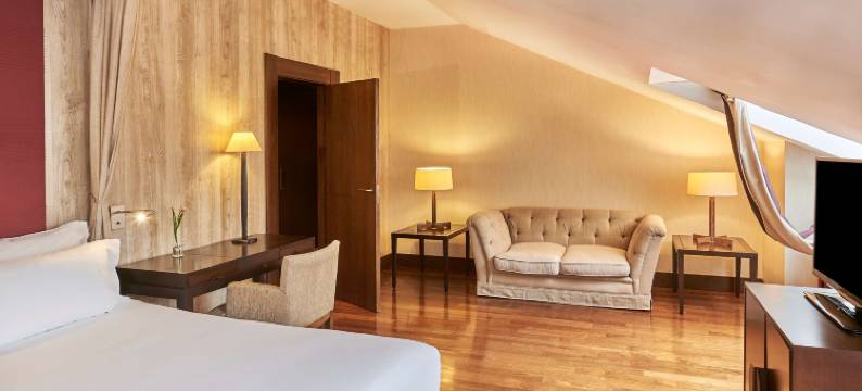 布尔戈斯宫NH典藏酒店(NH Collection Palacio Burgos)图片